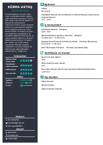 Çocuk Bakıcısı CV Örnekleri cv indir